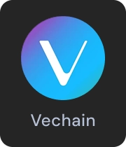 Meme Coin4