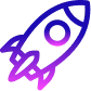 100+ Projects Completed