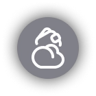 network launch on solana