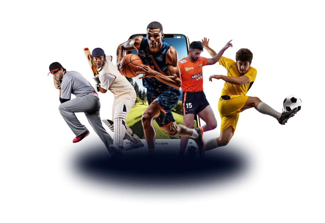 banner image sports